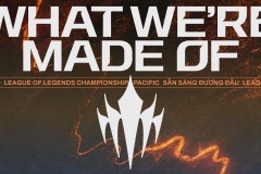 成就追求：超越数字，追求S冠卓越